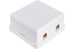 Настенная розетка NETLAN, 2 порта, Кат.5e (Класс D), 100МГц, RJ45/8P8C, 110, T568A/B, неэкранированная, белая, уп-ка 10шт. 